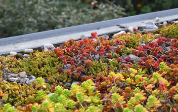 the cost of Leven green roof installation
