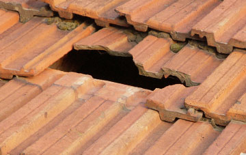roof repair Leven