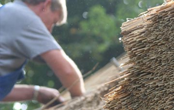 professional Leven thatchers